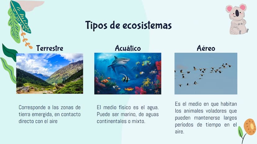 Ecosistemas
M ¿Qué es un ecosistema?
El ecosistema es el conjunto de seres vivos de un
lugar, el ambiente que lo rodea y las relaciones que
