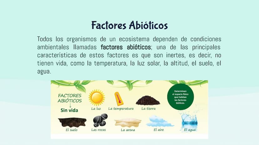 Ecosistemas
M ¿Qué es un ecosistema?
El ecosistema es el conjunto de seres vivos de un
lugar, el ambiente que lo rodea y las relaciones que
