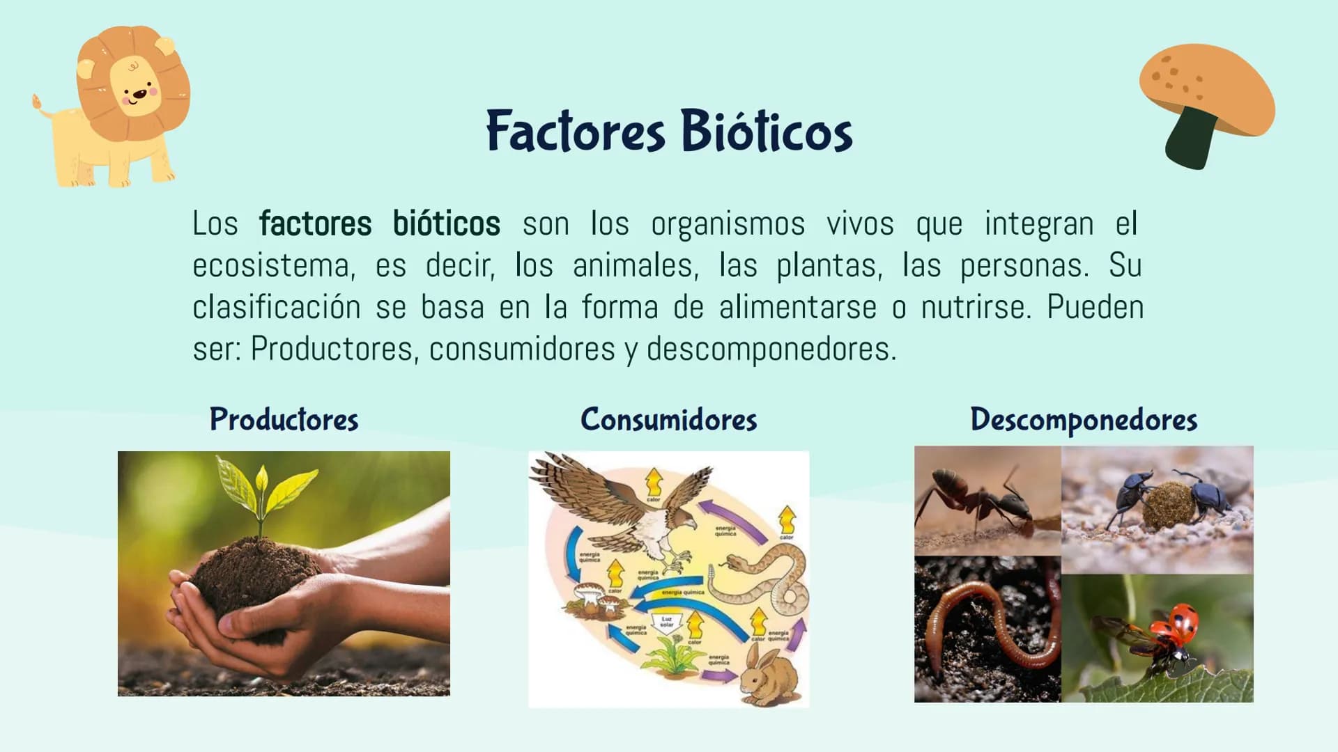 Ecosistemas
M ¿Qué es un ecosistema?
El ecosistema es el conjunto de seres vivos de un
lugar, el ambiente que lo rodea y las relaciones que

