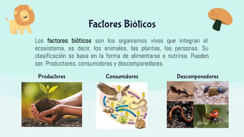 Ecosistemas
M ¿Qué es un ecosistema?
El ecosistema es el conjunto de seres vivos de un
lugar, el ambiente que lo rodea y las relaciones que
