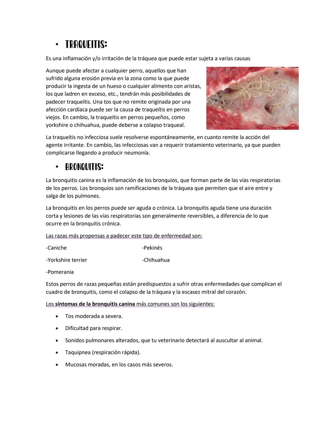 INFLAMACIONES DEL
Sistema nervioso
PLEURITIS:
La pleuritis es hinchazón (inflamación) de las capas delgadas de tejido
(pleura) que recubren 