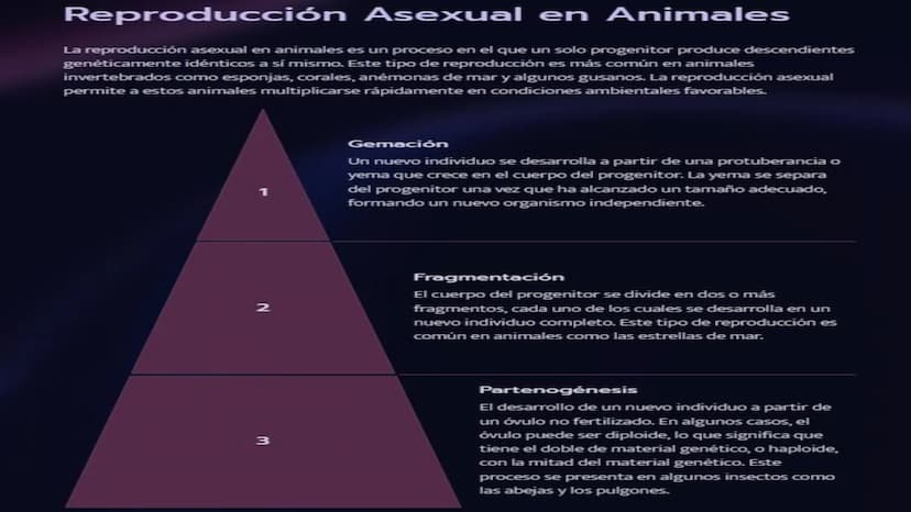 Introducción a la
Reproducción en Seres
Vivos
La reproducción es un proceso fundamental para la vida, permitiendo la perpetuación de
las esp