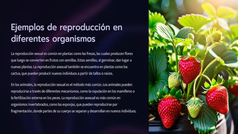 Introducción a la
Reproducción en Seres
Vivos
La reproducción es un proceso fundamental para la vida, permitiendo la perpetuación de
las esp