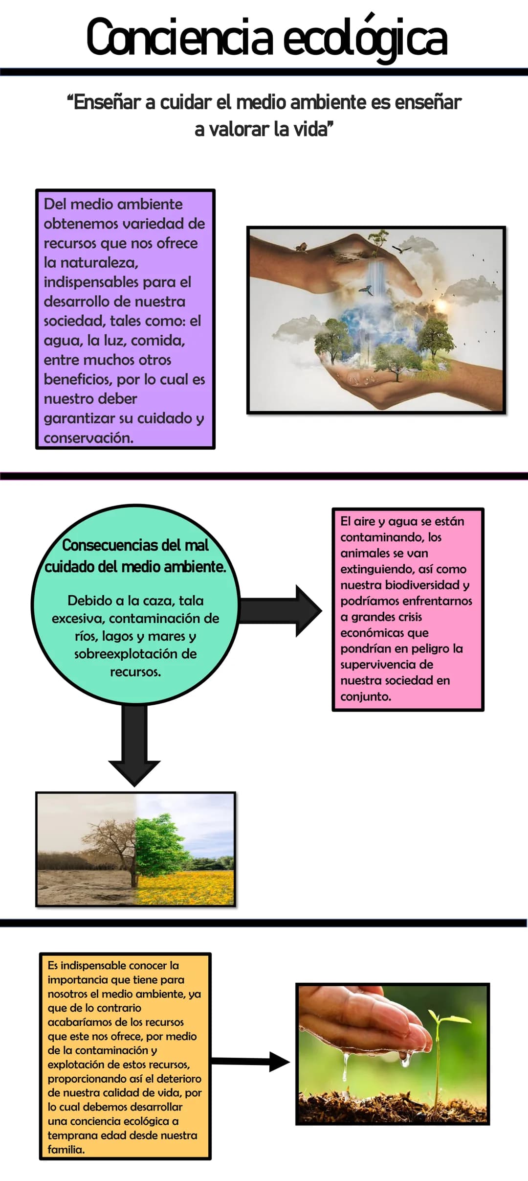 Conciencia ecológica
"Enseñar a cuidar el medio ambiente es enseñar
a valorar la vida"
Del medio ambiente
obtenemos variedad de
recursos que