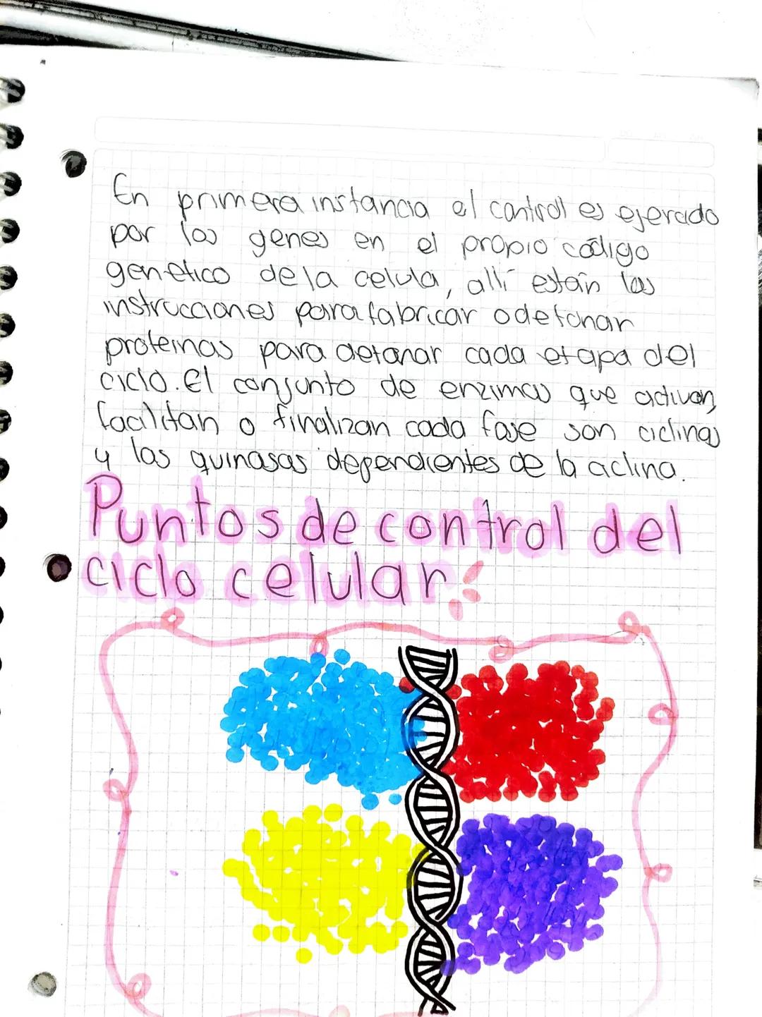 04/03/24

☆
# Unidad #2

# Reproducción celulars

*   subtemas:
*   Definición de célula
*   Ciclo celular
*   fases del arlo celuber
*   Re