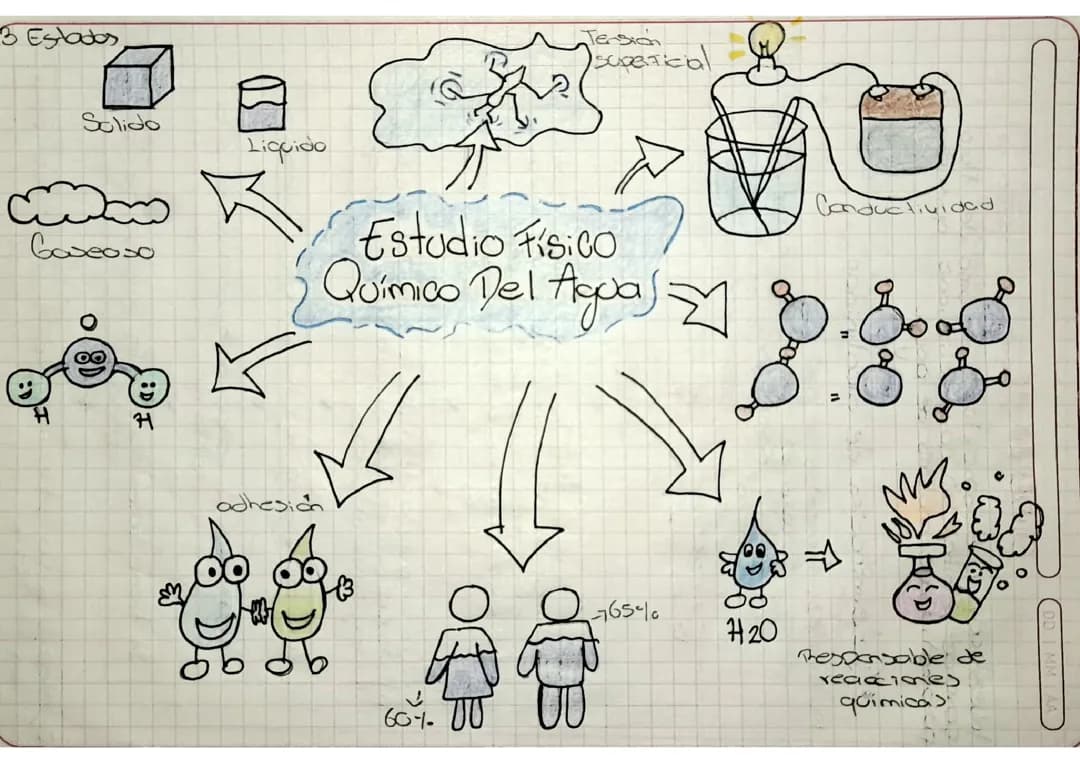 Estudio físico quimico del agua