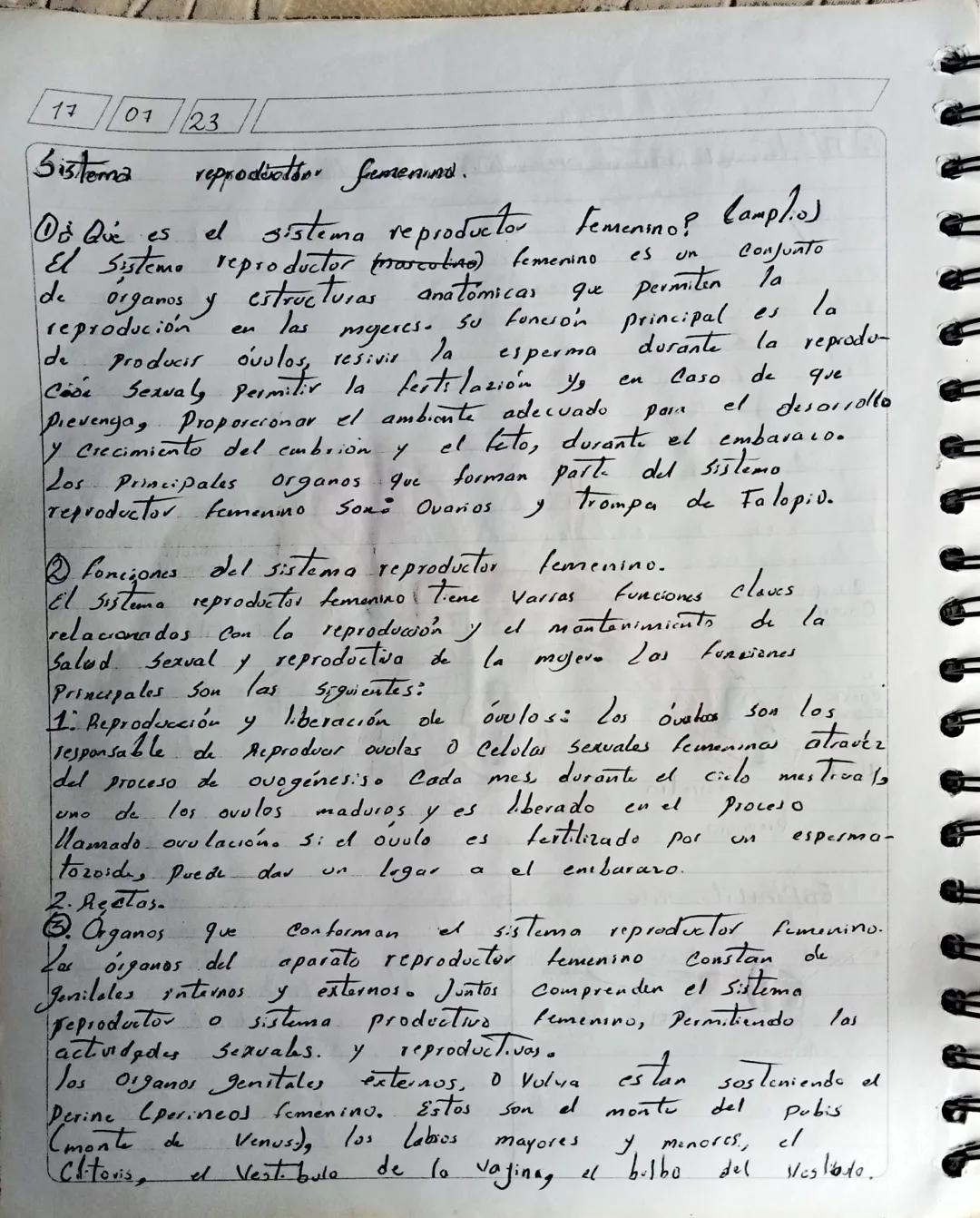 17
07
23
# Sistema reprodottor femenina.

## Då Que es el sistema reproductor Femenino? Camplio)
El Sistemo reproductor mascoting) femenino 