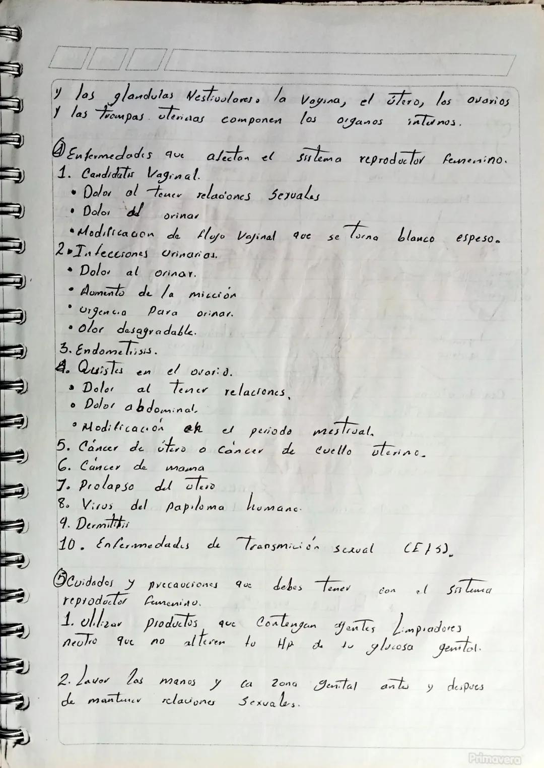 17
07
23
# Sistema reprodottor femenina.

## Då Que es el sistema reproductor Femenino? Camplio)
El Sistemo reproductor mascoting) femenino 