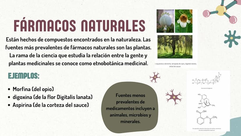 CREACIÓN DE NUEVOS
MEDICAMENTOS ORIGEN DE LOS
MEDICAMENTOS
1.Las escrituras más antiguas
sobre el uso de los
medicamentos son
aproximadament