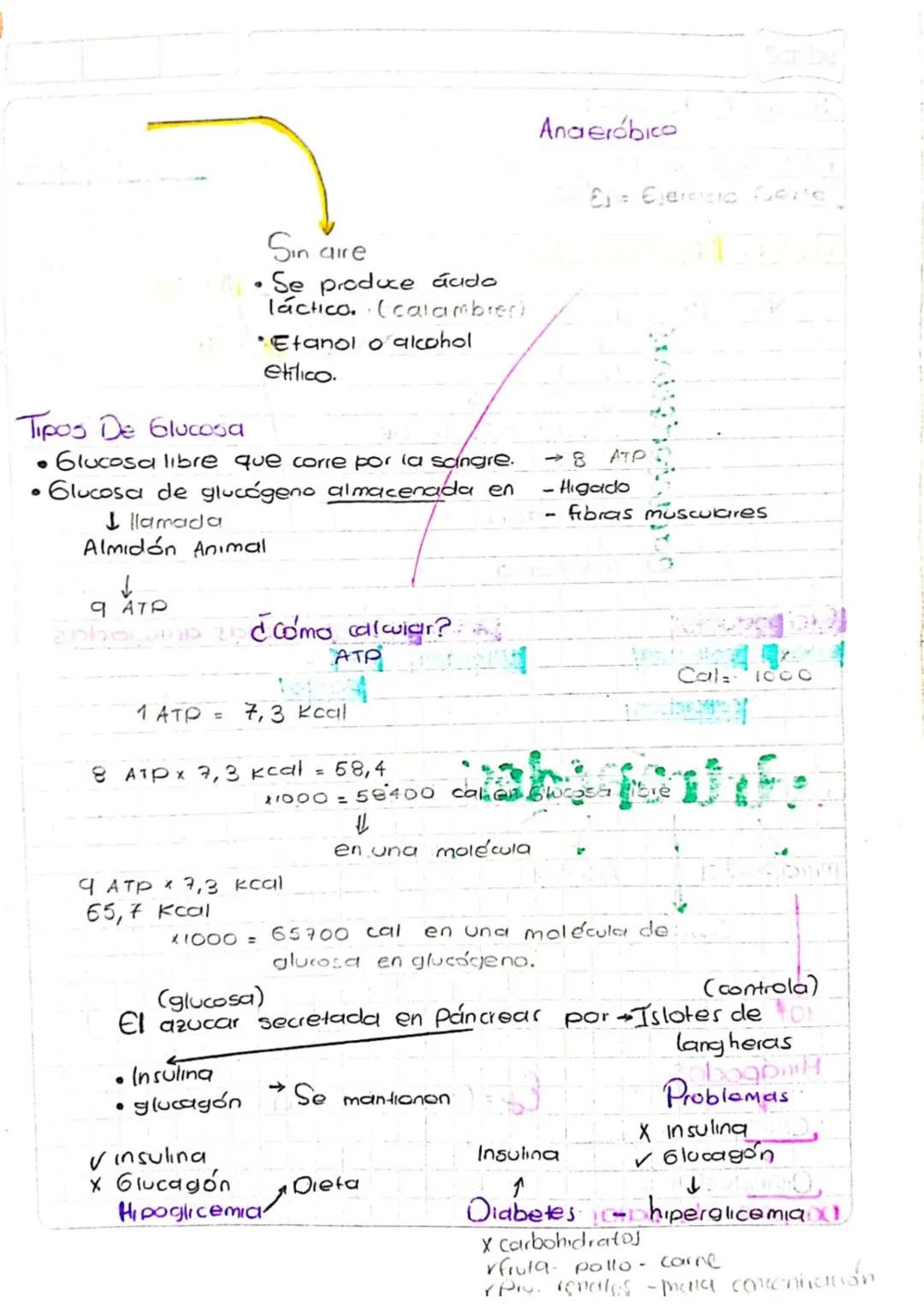 8 Feb-2023
Biocompuestos o Bio-
Bio=uida
lipido grasa
moléculas
-Compuestos o meleoulds esenciales para la vida.
"
Se fienen
- carbohidratos