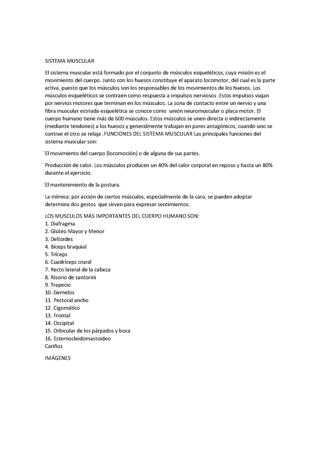 Sistema muscular 