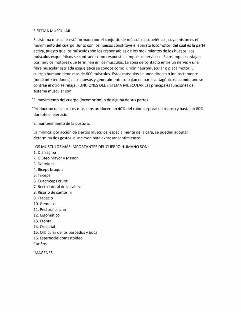 SISTEMA MUSCULAR
El sistema muscular está formado por el conjunto de músculos esqueléticos, cuya misión es el
movimiento del cuerpo. Junto c