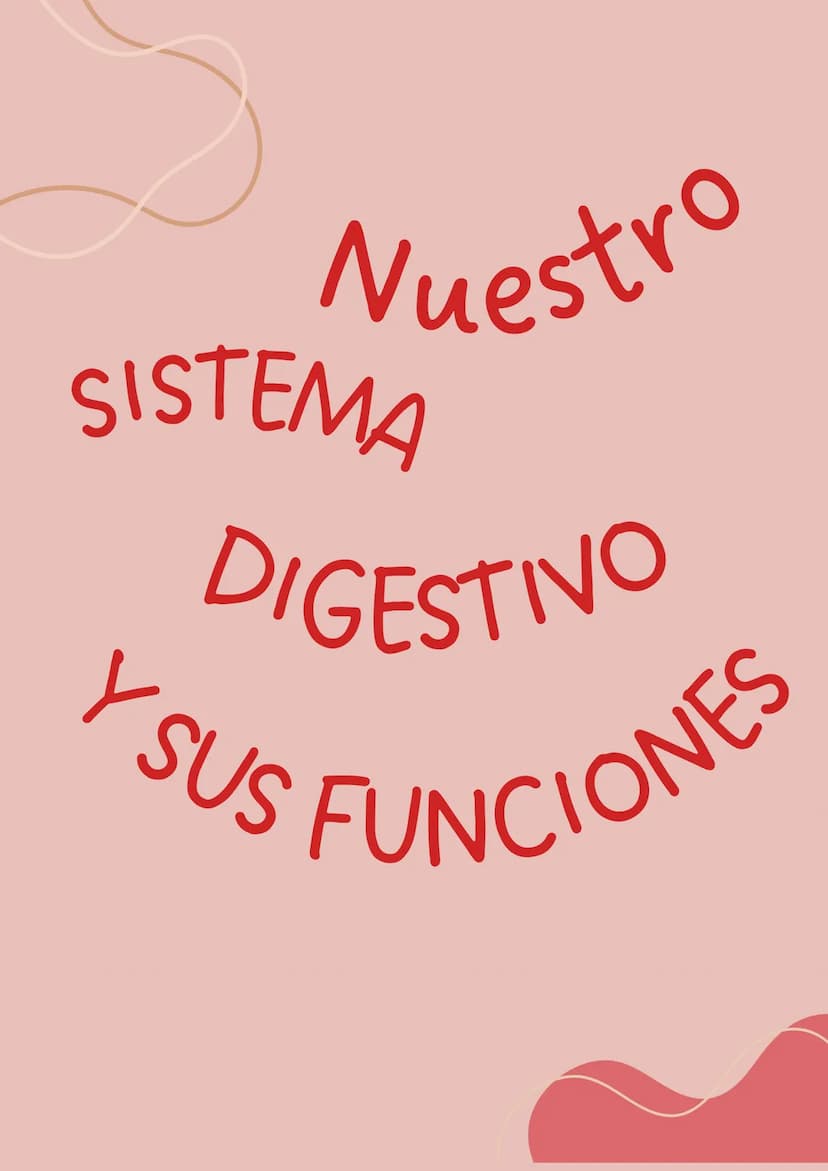 Nuestro
SISTEMA
DIGESTIVO
SUS FUNCIONES
Y ¿Que es el sistema digestivo y cuál es su
función?
El sistema digestivo es un conjunto de
órganos 
