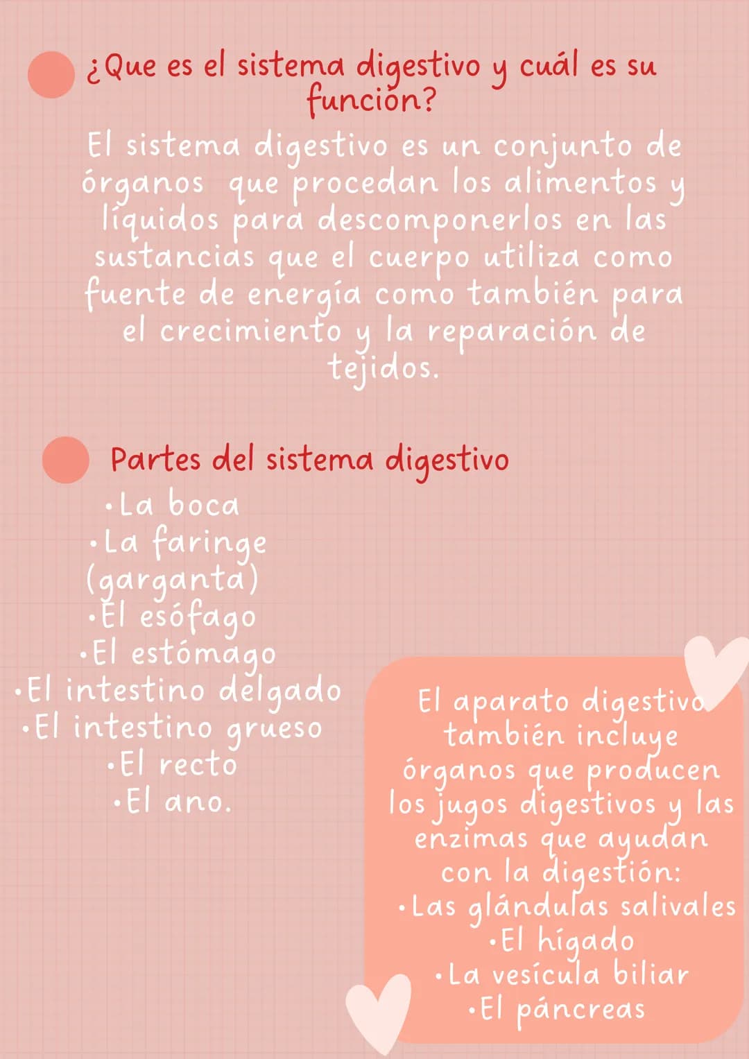 Nuestro
SISTEMA
DIGESTIVO
SUS FUNCIONES
Y ¿Que es el sistema digestivo y cuál es su
función?
El sistema digestivo es un conjunto de
órganos 