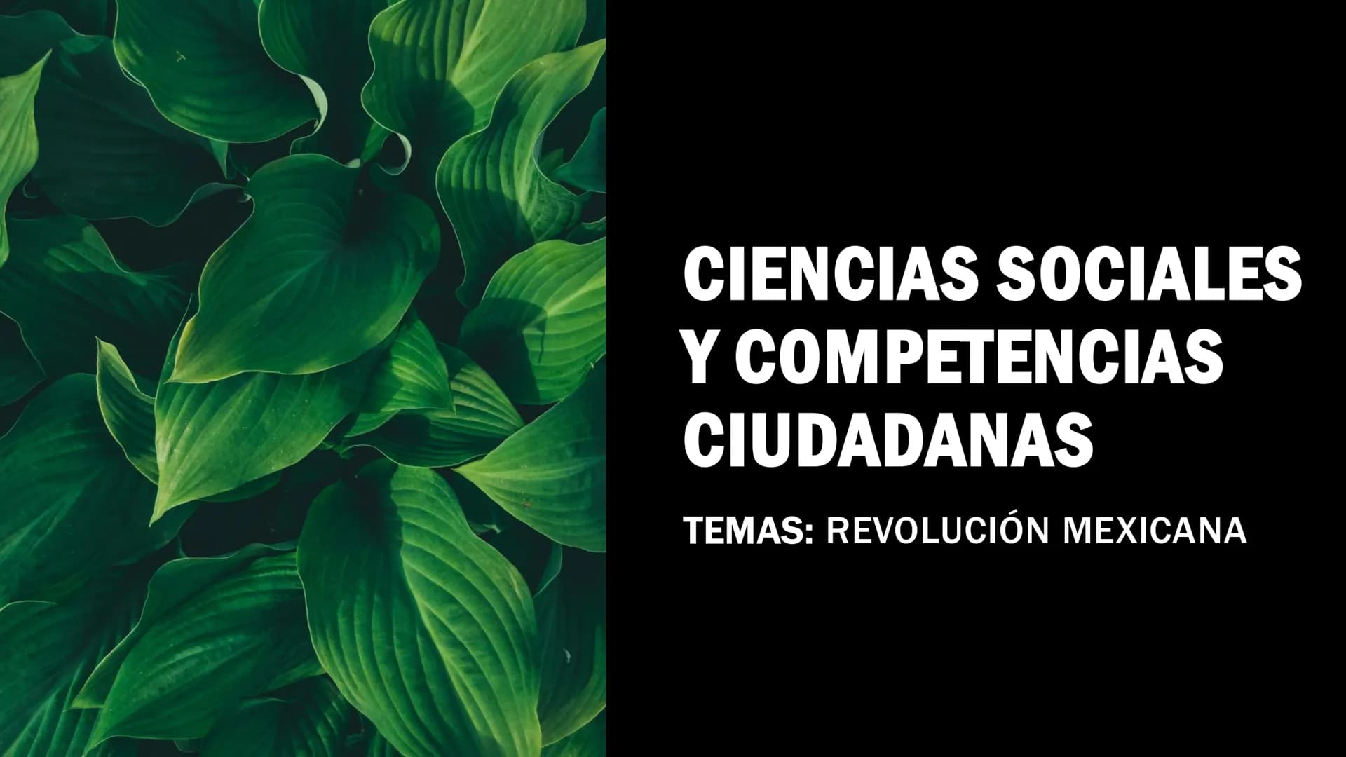 CIENCIAS SOCIALES
Y COMPETENCIAS
CIUDADANAS
TEMAS: REVOLUCIÓN MEXICANA REVOLUCIÓN MEXICANA
La Revolución Mexicana fue un conflicto
armado qu