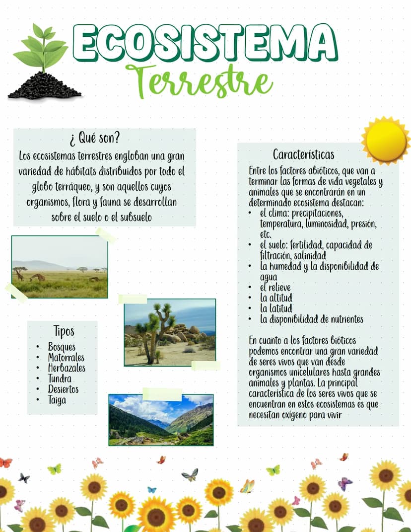 ECOSISTEMA
Terrestre
¿Qué son?
Los ecosistemas terrestres engloban una gran
variedad de hábitats distribuidos por todo el
globo terráqueo, y
