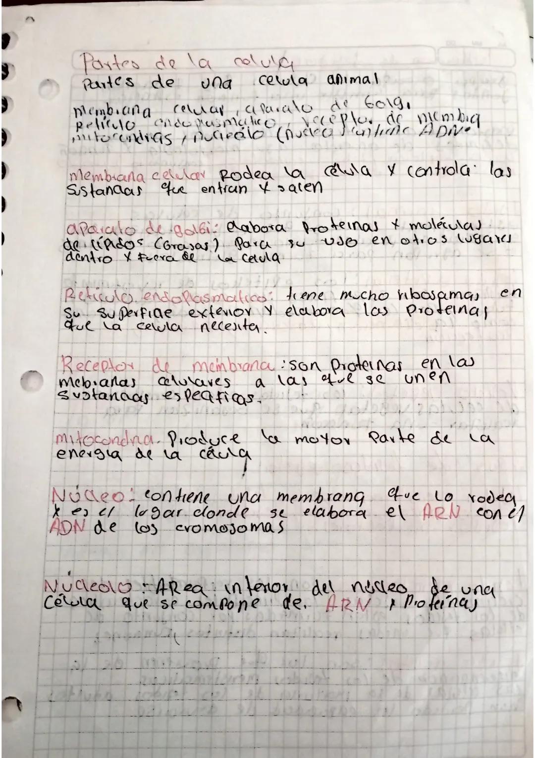 partes de la célula