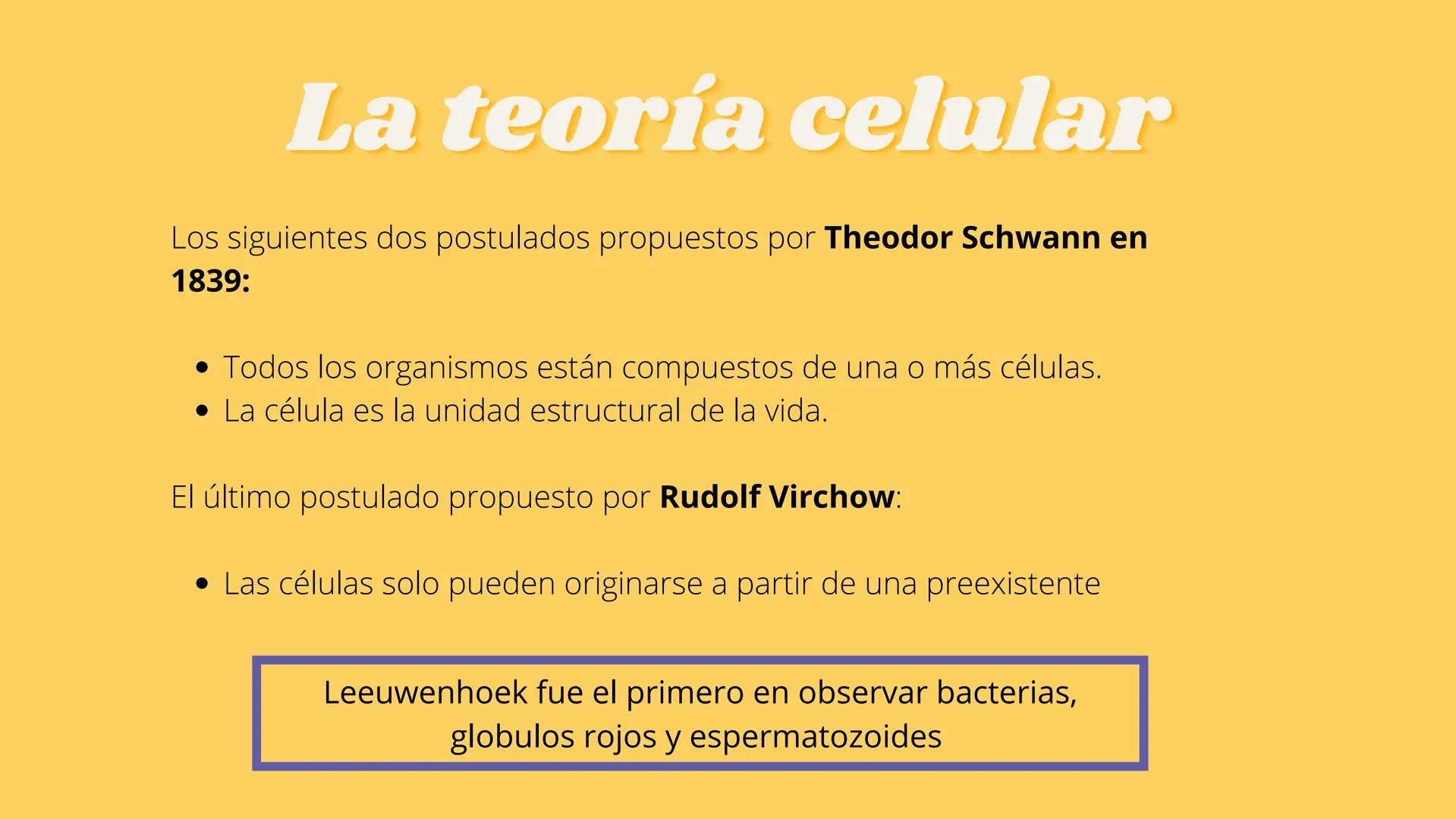 # LA CÉLULA Y VIRUS # ¿QUE SABEN
## DE LA
### CELULA? # La célula

*   La célula es el componente básico de todos los seres vivos.
*   Es la