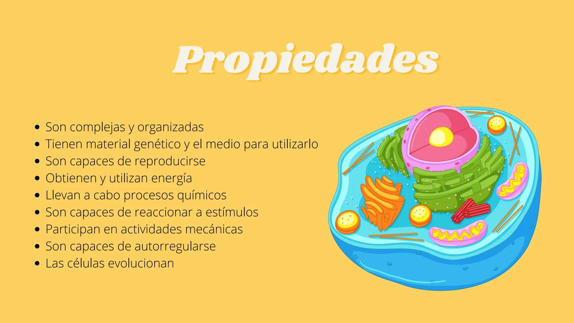 # LA CÉLULA Y VIRUS # ¿QUE SABEN
## DE LA
### CELULA? # La célula

*   La célula es el componente básico de todos los seres vivos.
*   Es la