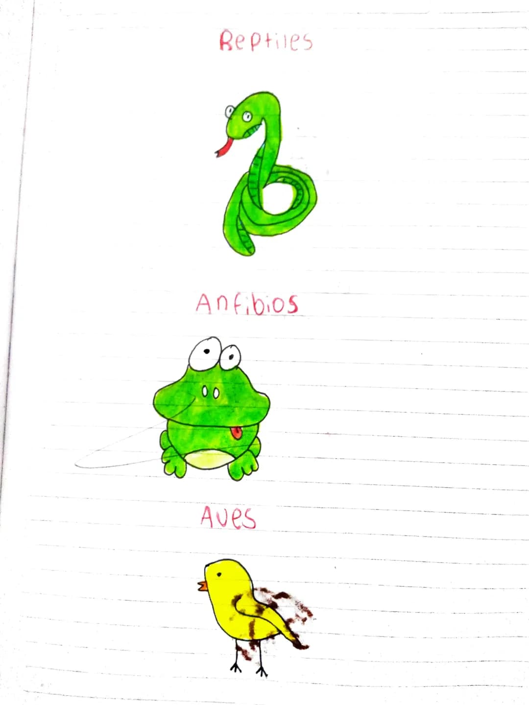 Dibujos de
Animales vertebrados
Mamiferos
peces Beptiles
Anfibios
Oo
00
Aves Dibujos de
Animales invertebrados
Artropodos
busanos
Espongas (
