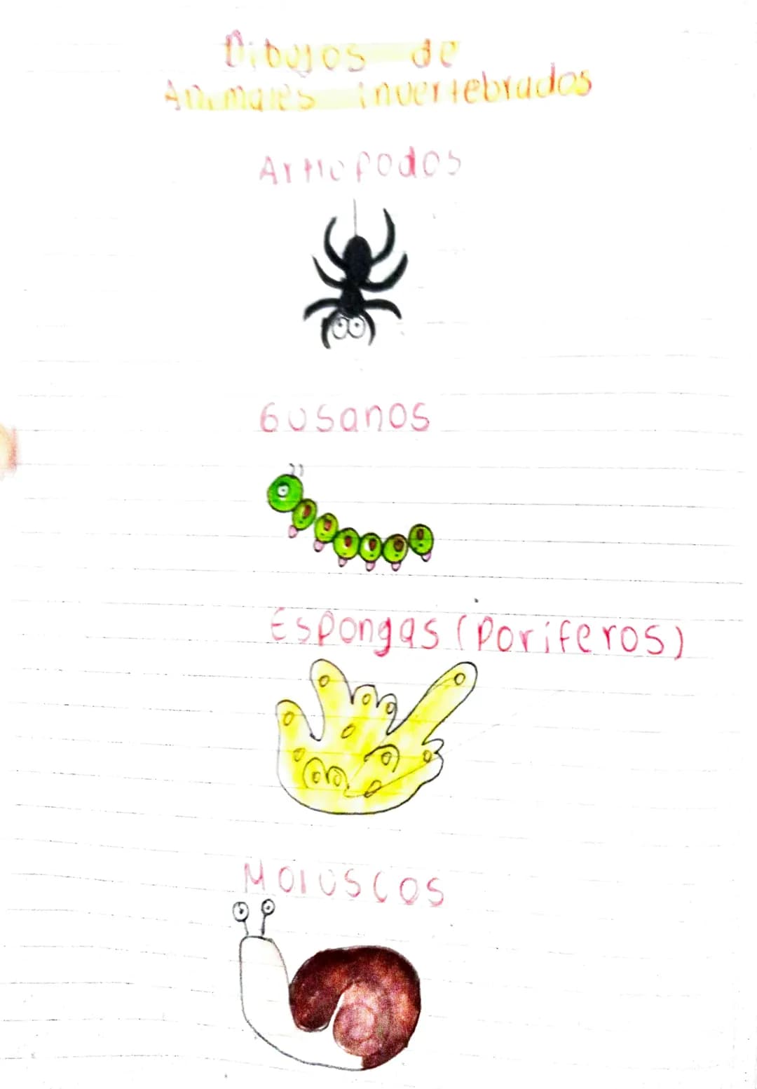 Dibujos de
Animales vertebrados
Mamiferos
peces Beptiles
Anfibios
Oo
00
Aves Dibujos de
Animales invertebrados
Artropodos
busanos
Espongas (