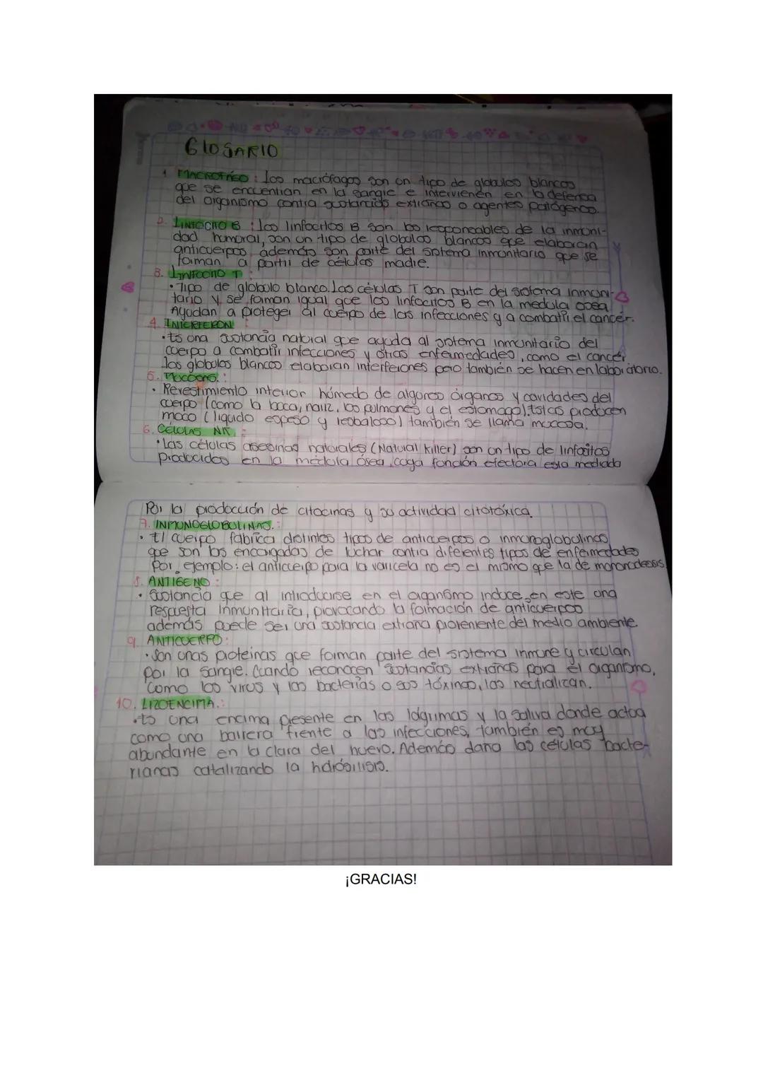 SARA FERNANDA URREGO QUIROGA 902

ACTIVIDAD SISTEMA INMUNE

19/02/2021

ayuthursday lith february of 2001 1
Dic inmunitario

Runtes

Jas ame