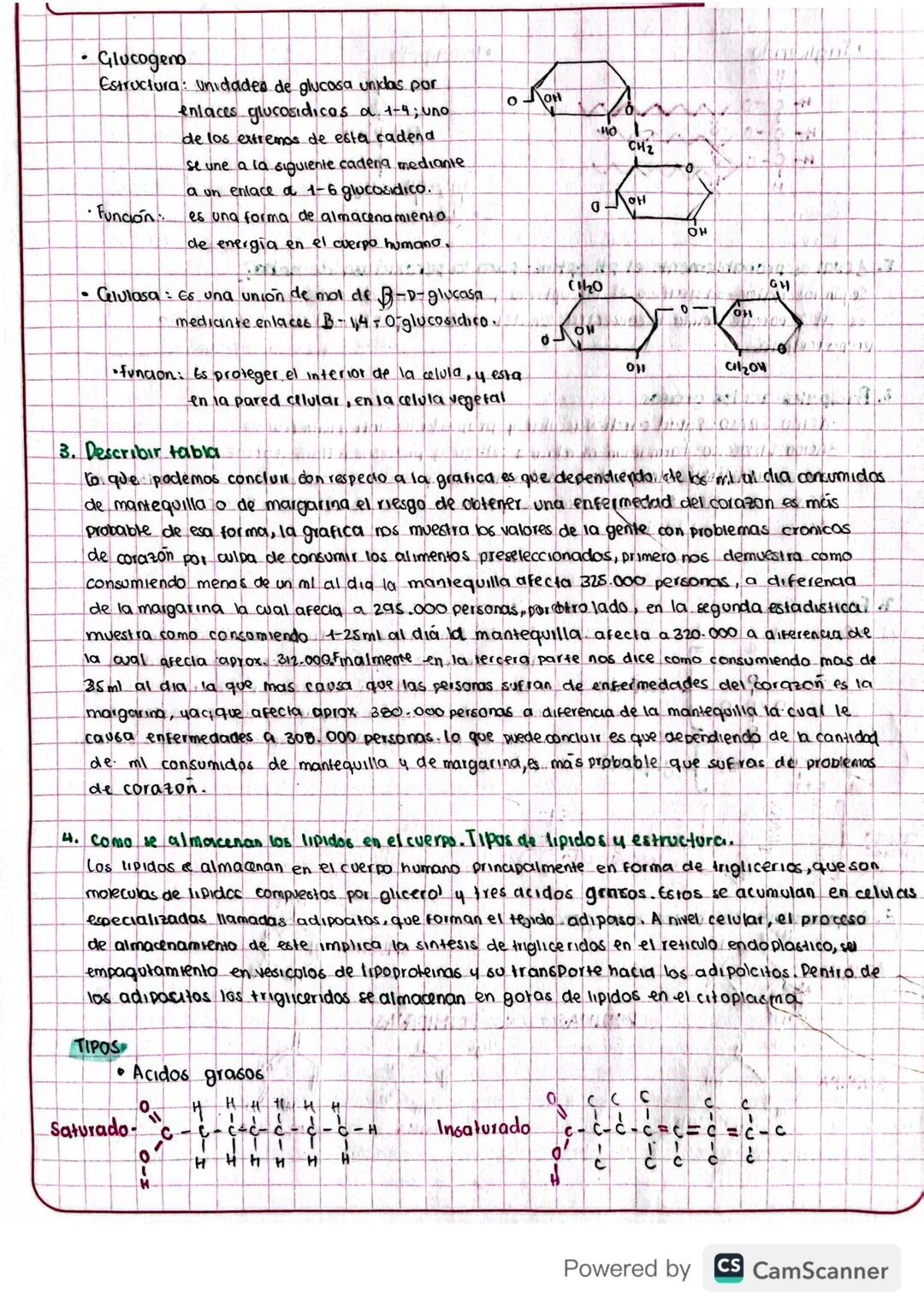 TALLER DE REPASO
1. Cuadro con caracteristicas principales de los carbohidratos, clases, importancia biologica
4 la presencia en los aliment