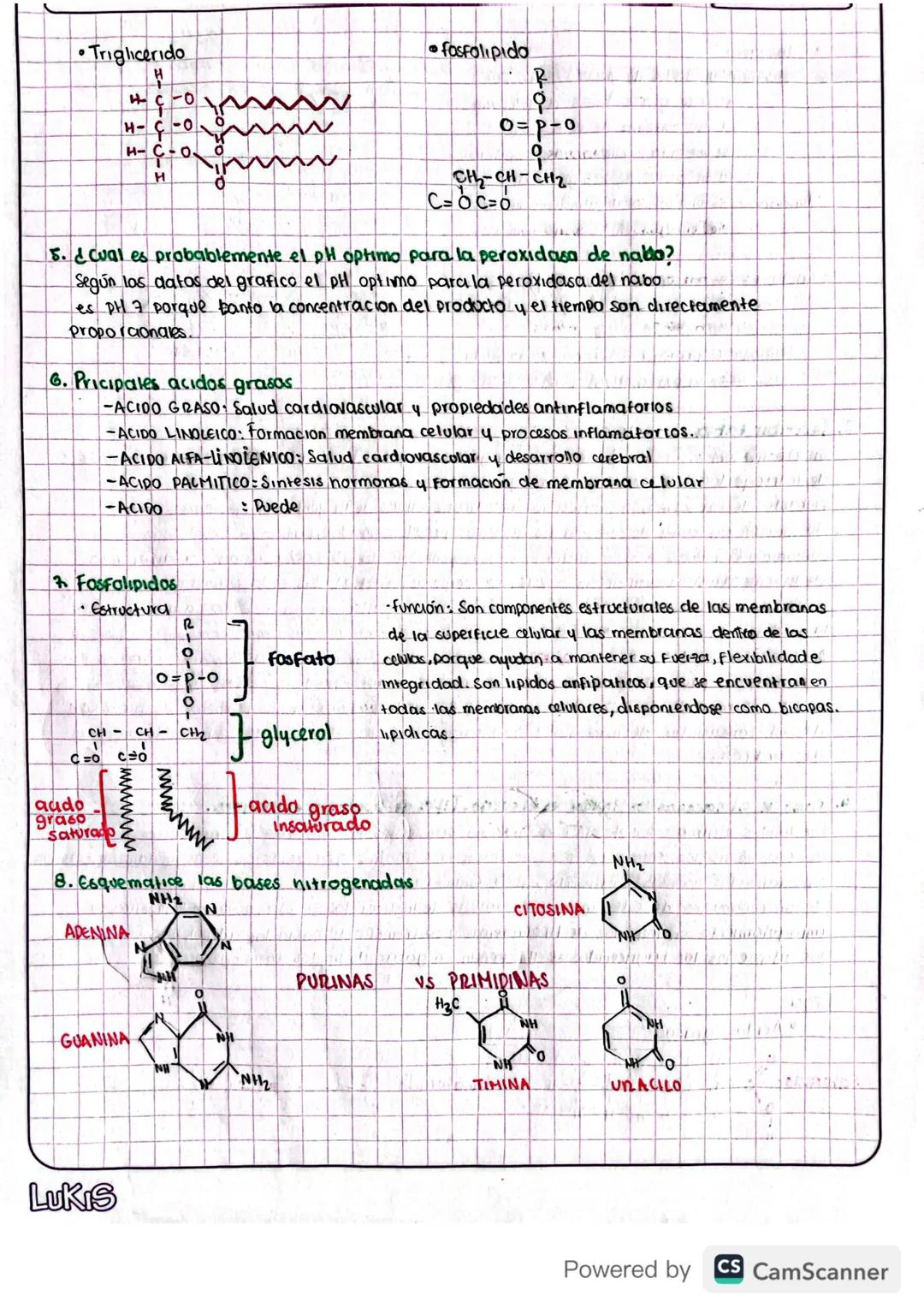 TALLER DE REPASO
1. Cuadro con caracteristicas principales de los carbohidratos, clases, importancia biologica
4 la presencia en los aliment