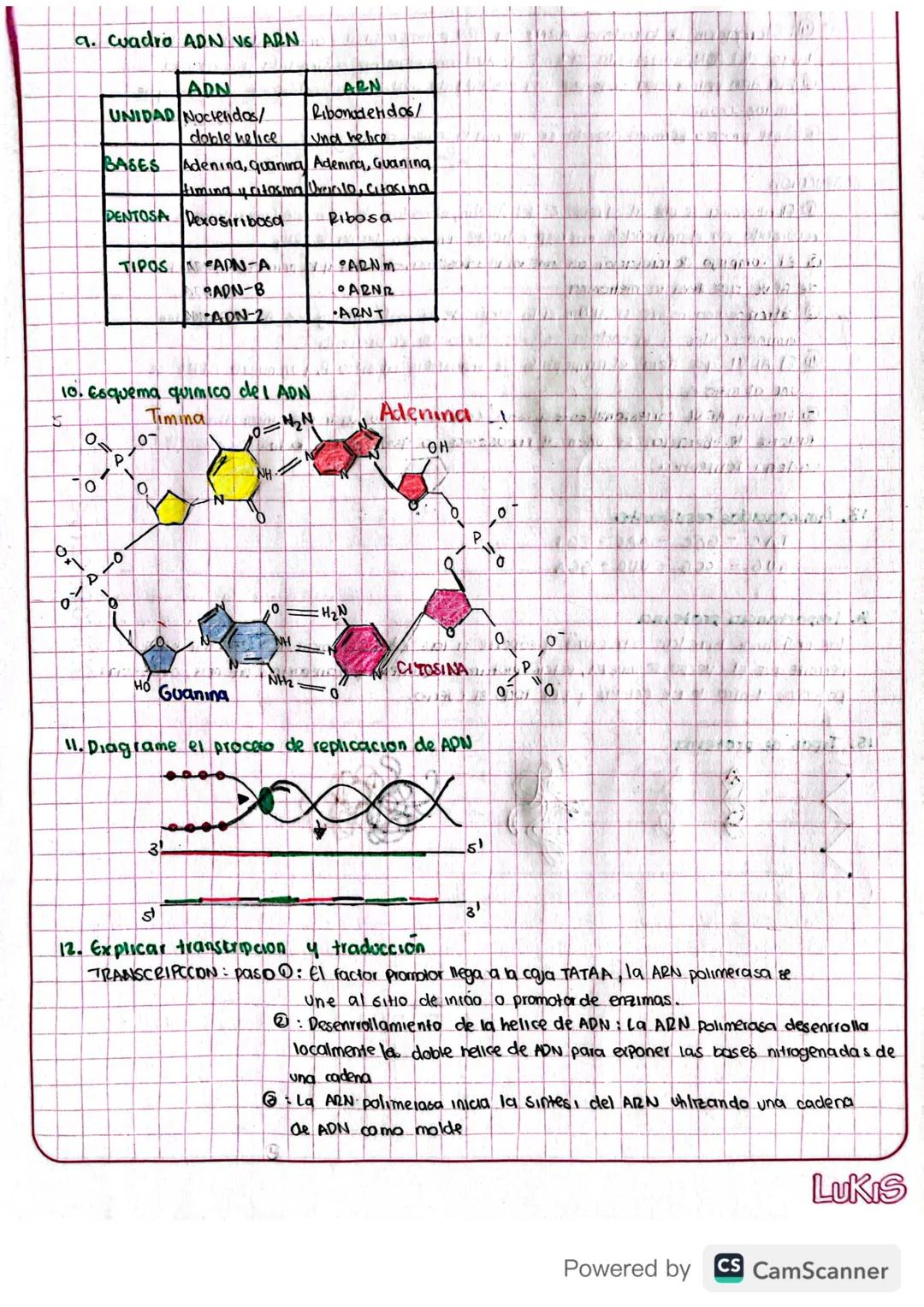 TALLER DE REPASO
1. Cuadro con caracteristicas principales de los carbohidratos, clases, importancia biologica
4 la presencia en los aliment