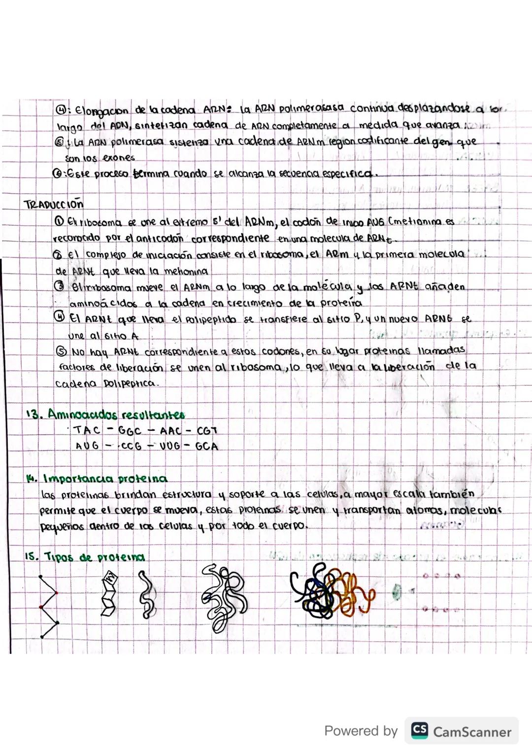 TALLER DE REPASO
1. Cuadro con caracteristicas principales de los carbohidratos, clases, importancia biologica
4 la presencia en los aliment