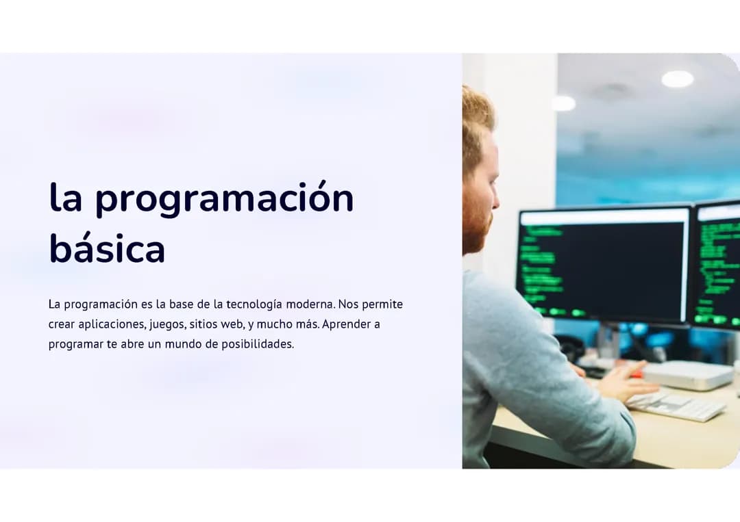 Programación Básica: 