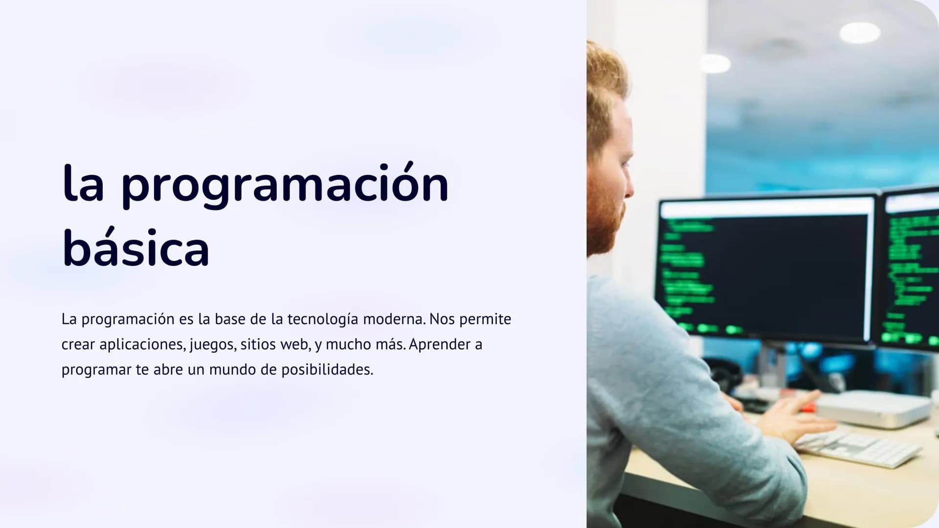 Programación Básica: 