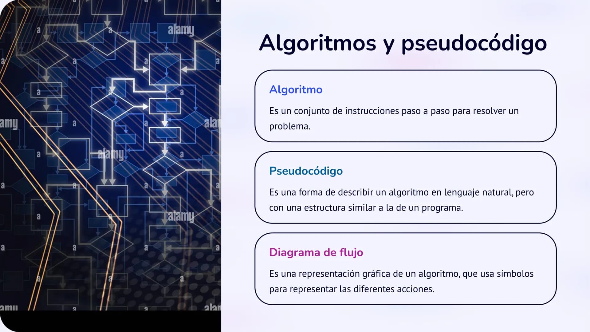 Programación Básica: 