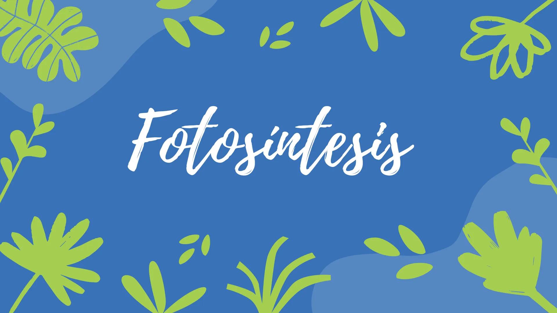 Fotosíntesis Que es?

Proceso químico que se
produce en las plantas, las
algas y algunos tipos de
bacterias cuando se exponen
a la luz del s