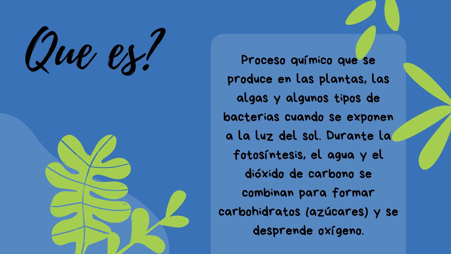 Fotosíntesis Que es?

Proceso químico que se
produce en las plantas, las
algas y algunos tipos de
bacterias cuando se exponen
a la luz del s