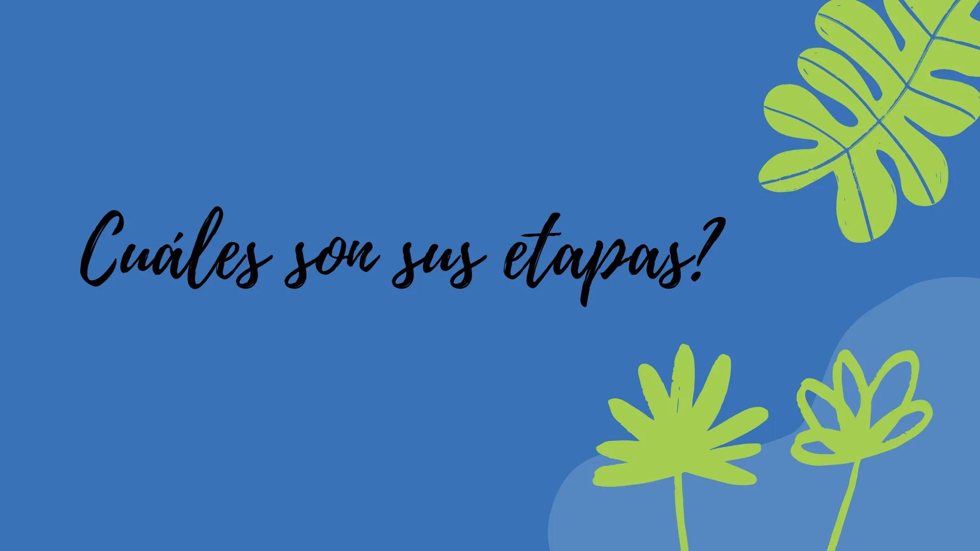 Fotosíntesis Que es?

Proceso químico que se
produce en las plantas, las
algas y algunos tipos de
bacterias cuando se exponen
a la luz del s