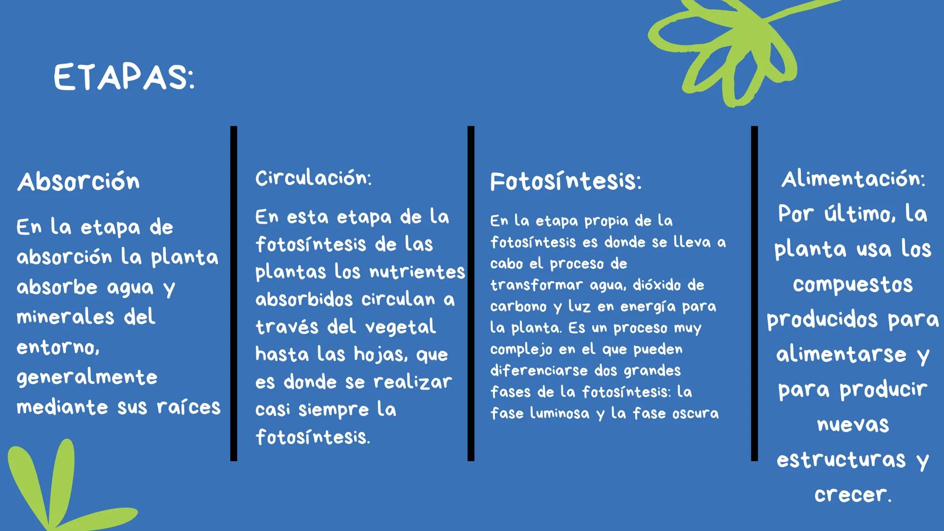 Fotosíntesis Que es?

Proceso químico que se
produce en las plantas, las
algas y algunos tipos de
bacterias cuando se exponen
a la luz del s