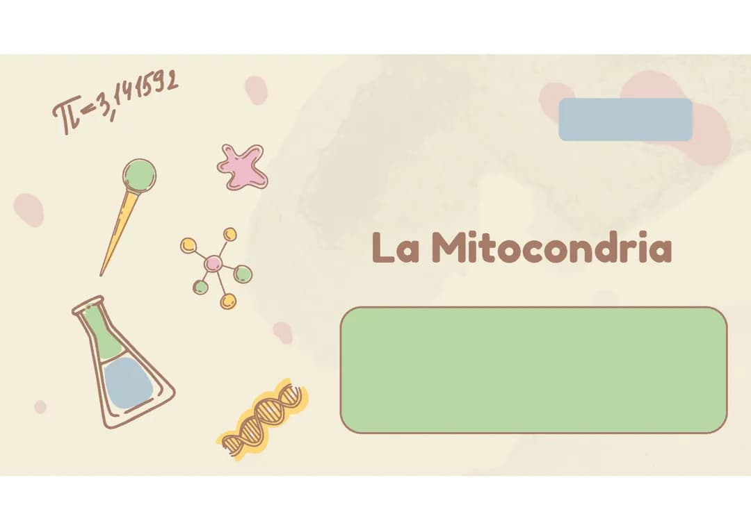La Mitocondria 