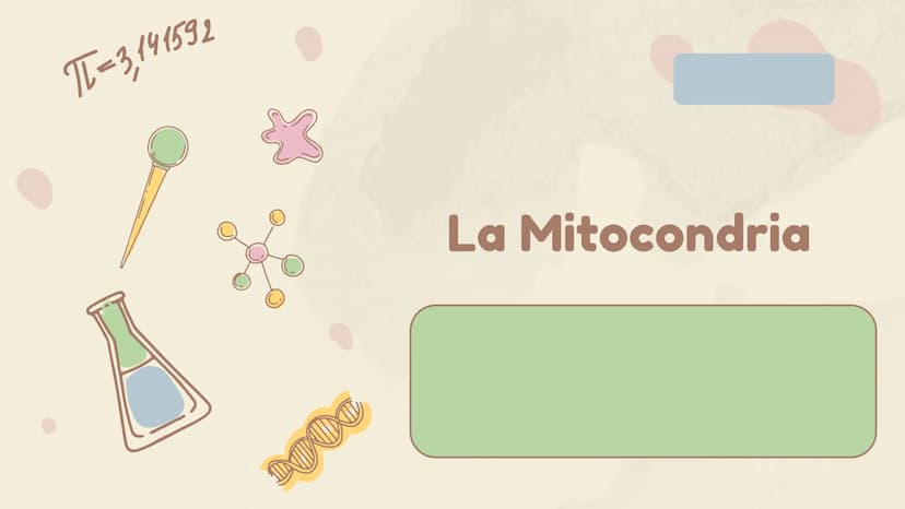 πΣ=3,141592
La Mitocondria ¿Qué es?
Es un organelo especializado de la célula, que
se encuentra en el citoplasma. Estas
contienen su propio 