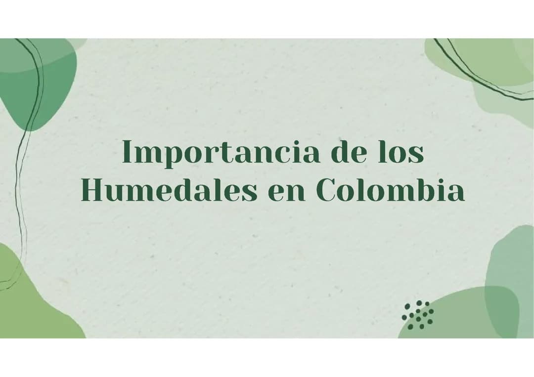 Descubre la Importancia de los Humedales: 10 Humedales de Colombia para Niños