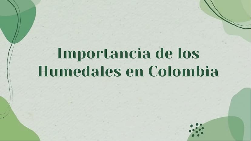 Importancia de los
Humedales en Colombia Definición de Humedales
Los humedales son áreas de tierra inundada de
forma permanente o temporal, 