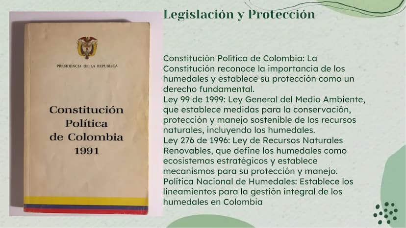 Importancia de los
Humedales en Colombia Definición de Humedales
Los humedales son áreas de tierra inundada de
forma permanente o temporal, 
