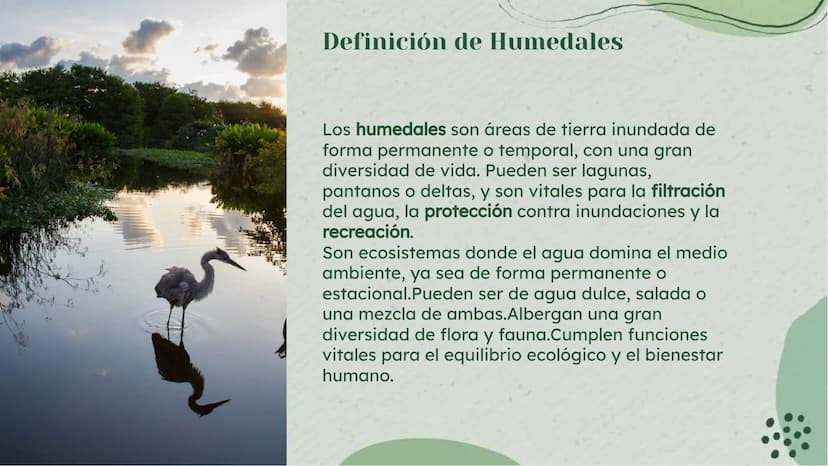 Importancia de los
Humedales en Colombia Definición de Humedales
Los humedales son áreas de tierra inundada de
forma permanente o temporal, 