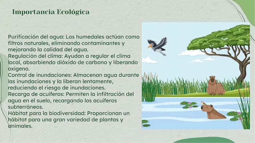 Importancia de los
Humedales en Colombia Definición de Humedales
Los humedales son áreas de tierra inundada de
forma permanente o temporal, 