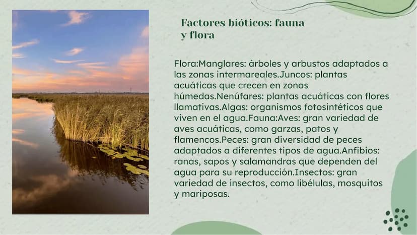 Importancia de los
Humedales en Colombia Definición de Humedales
Los humedales son áreas de tierra inundada de
forma permanente o temporal, 