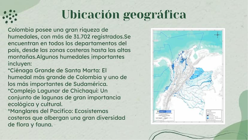 Importancia de los
Humedales en Colombia Definición de Humedales
Los humedales son áreas de tierra inundada de
forma permanente o temporal, 