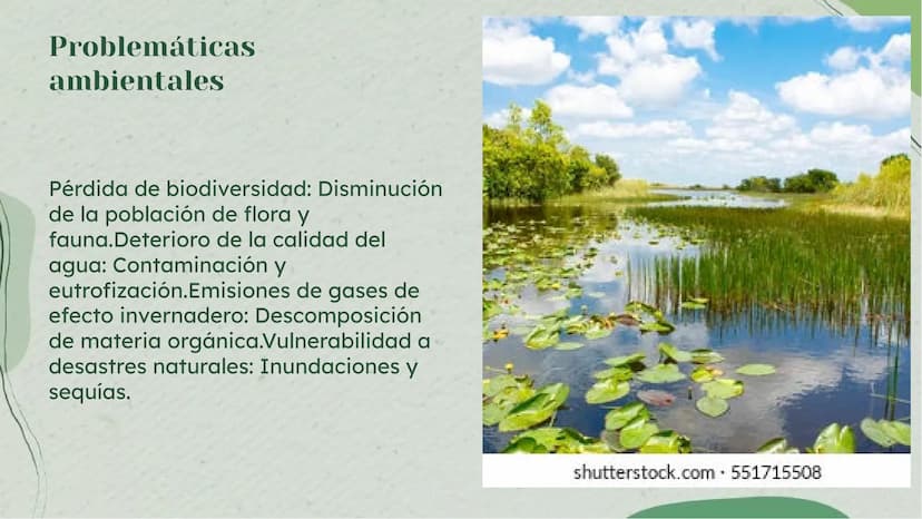 Importancia de los
Humedales en Colombia Definición de Humedales
Los humedales son áreas de tierra inundada de
forma permanente o temporal, 