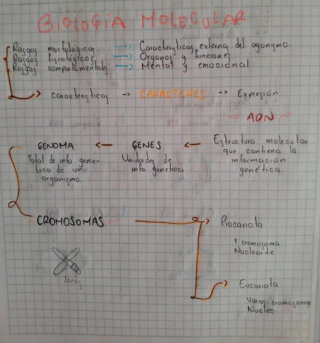 BIOLOGIA MOLECULAR
ƒ Raggos morfologicos
Rajgos fisiológicos
Rajgos comportamentales
Caracteristicas externas del
funciones
y
organismo.
emo