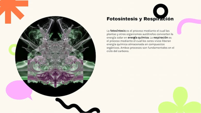 Análisis Detallado
del Ciclo del Carbono
K ـو
Introducción al Ciclo del Carbono
El ciclo del carbono es crucial para la vida en la
Tierra, y