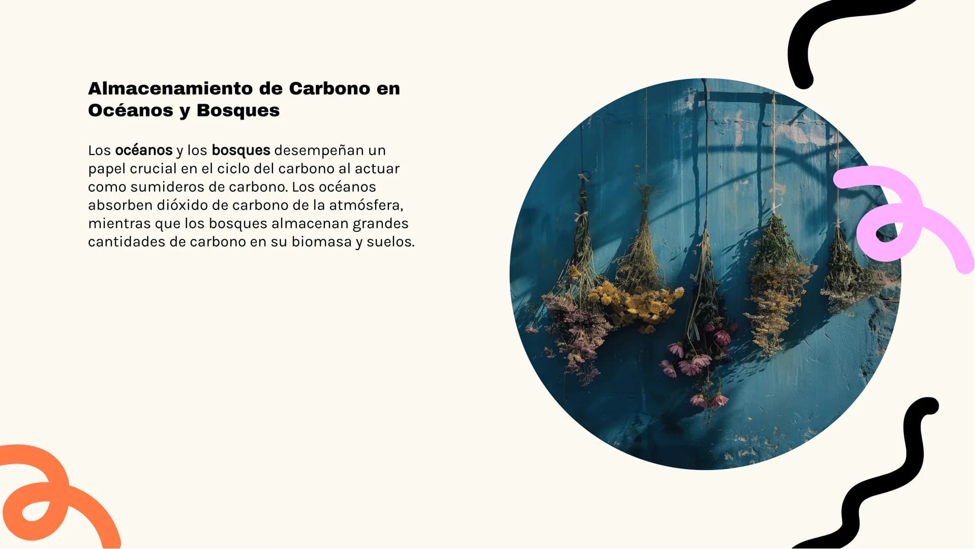 Análisis Detallado
del Ciclo del Carbono
K ـو
Introducción al Ciclo del Carbono
El ciclo del carbono es crucial para la vida en la
Tierra, y